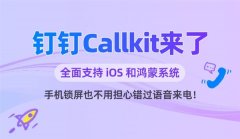 <b>全面支撑iOS、鸿蒙！钉钉Callkit功能官宣上线：锁</b>